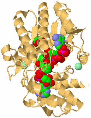 Image Biological Unit 7