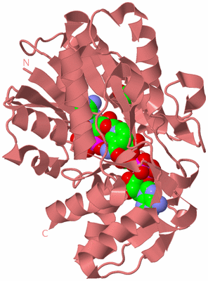 Image Biological Unit 8