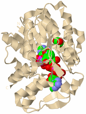 Image Biological Unit 9