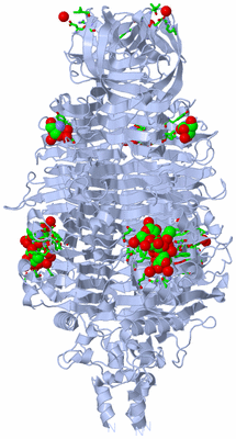 Image Biol. Unit 1 - sites