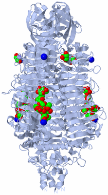 Image Biological Unit 1