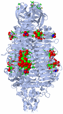 Image Biol. Unit 1 - sites