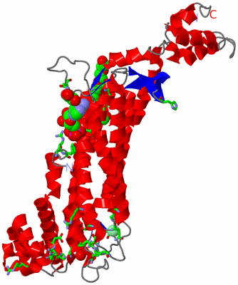 Image Asym. Unit - sites