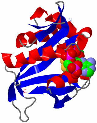 Image Asym./Biol. Unit