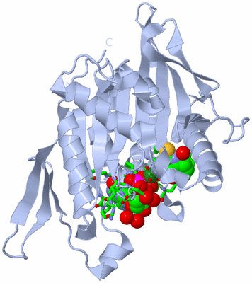 Image Biol. Unit 1 - sites