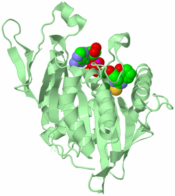 Image Biological Unit 2