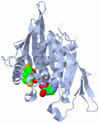 Image Biological Unit 1