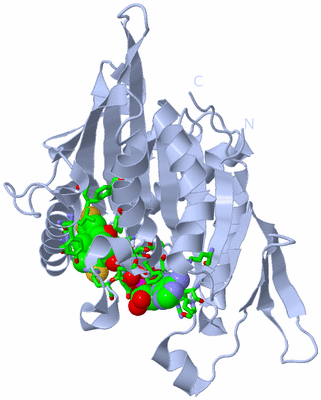 Image Biol. Unit 1 - sites