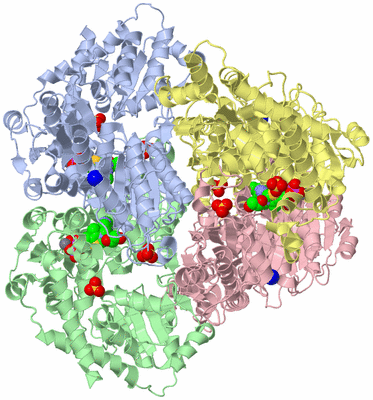 Image Asym./Biol. Unit