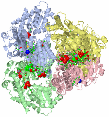 Image Asym./Biol. Unit - sites