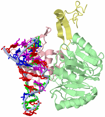 Image Asym./Biol. Unit