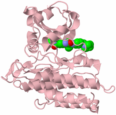 Image Biological Unit 3