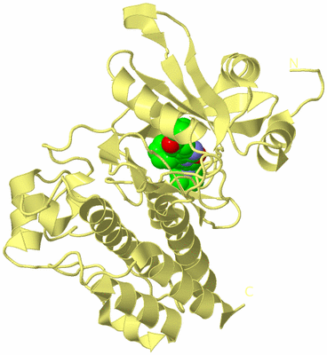 Image Biological Unit 4