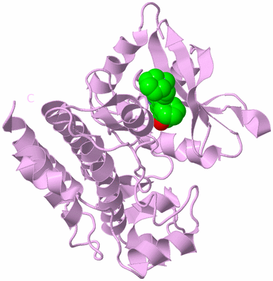 Image Biological Unit 5