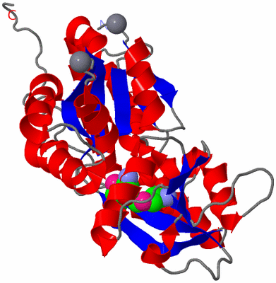 Image Asym./Biol. Unit