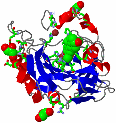 Image Asym./Biol. Unit - sites