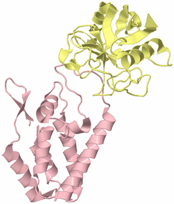 Image Biological Unit 2