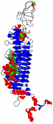 Image Asym. Unit - sites