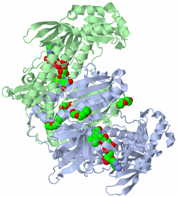 Image Asym./Biol. Unit