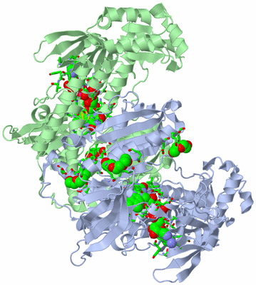 Image Asym./Biol. Unit - sites