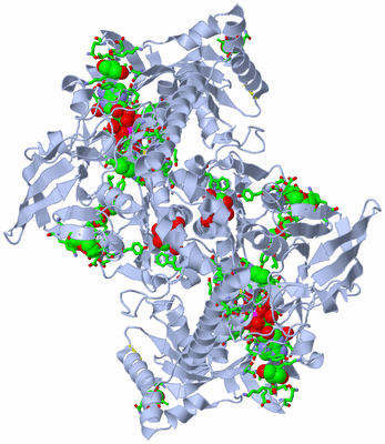 Image Biol. Unit 1 - sites