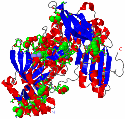 Image Asym. Unit - sites