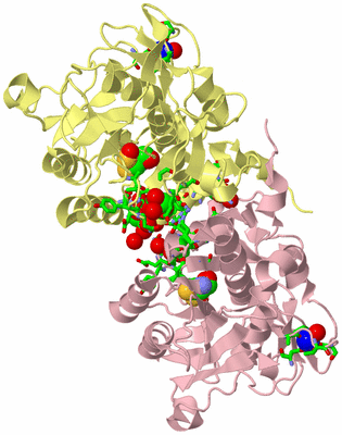 Image Biol. Unit 1 - sites