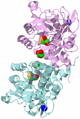 Image Biological Unit 2