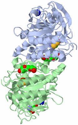 Image Biological Unit 3