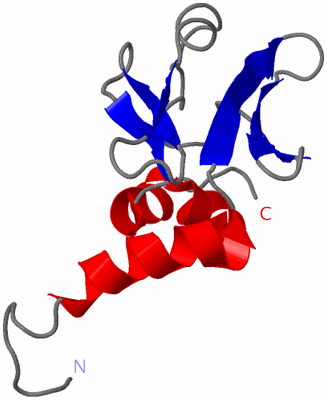 Image NMR Structure - model 1