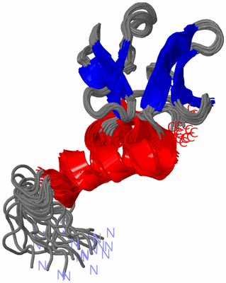 Image NMR Structure - all models