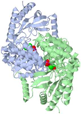 Image Asym./Biol. Unit