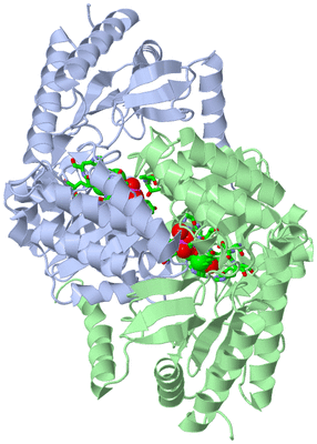 Image Asym./Biol. Unit - sites