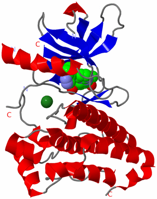 Image Asym./Biol. Unit