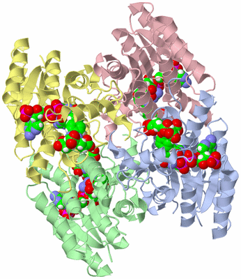 Image Asym./Biol. Unit