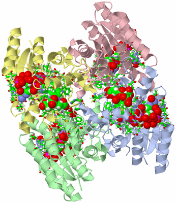 Image Asym./Biol. Unit - sites