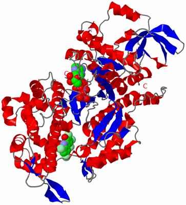 Image Asym./Biol. Unit