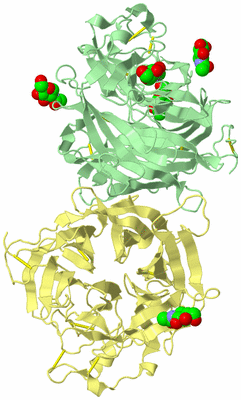 Image Biological Unit 1