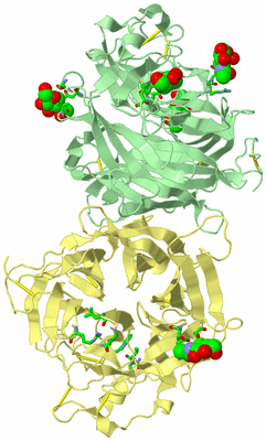 Image Biol. Unit 1 - sites