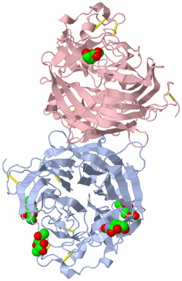 Image Biological Unit 2