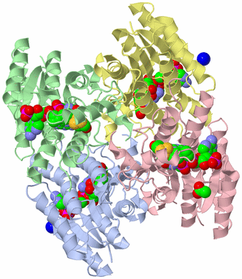 Image Asym./Biol. Unit