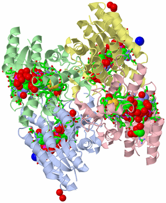 Image Asym./Biol. Unit - sites