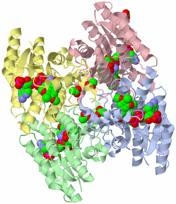 Image Asym./Biol. Unit