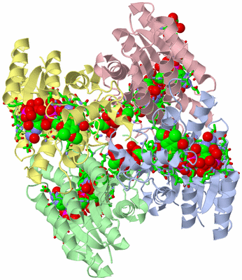 Image Asym./Biol. Unit - sites