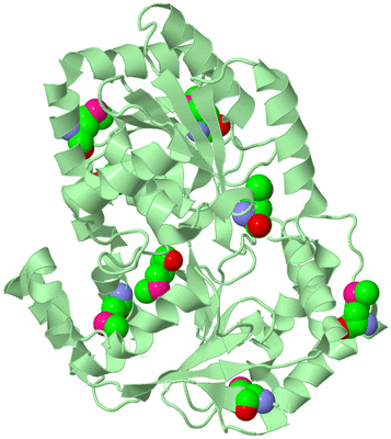 Image Biological Unit 2