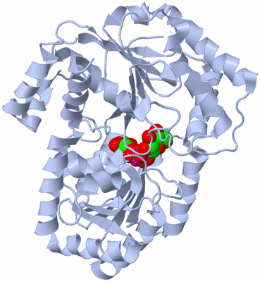 Image Biological Unit 1