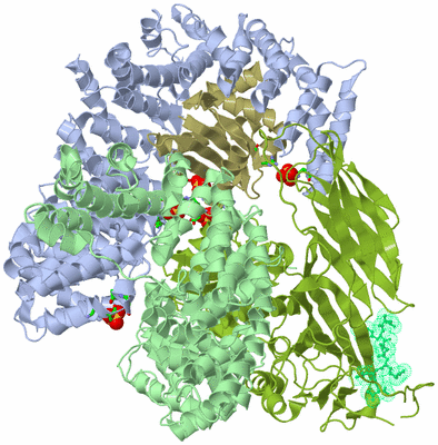 Image Biol. Unit 1 - sites