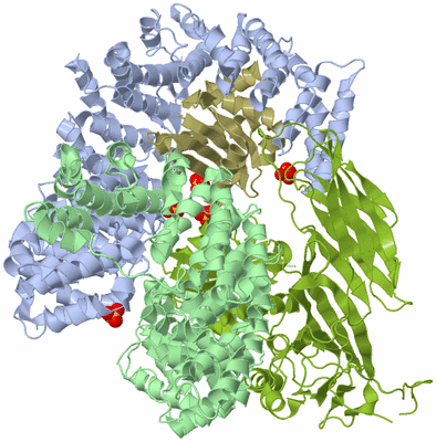 Image Biological Unit 2