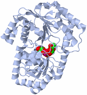 Image Biological Unit 1