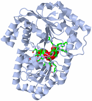 Image Biol. Unit 1 - sites